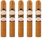 Southern Draw Rose of Sharon Gordo 5-Pack