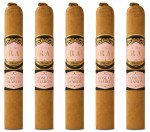 Southern Draw Rose of Sharon Robusto 5-Pack