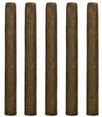 Swiss Delites Maduro 5-Pack