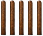Tampa Trolleys Churchill 5-Pack