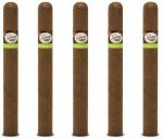 Tatiana Caribbean Chill Classic 5-Pack