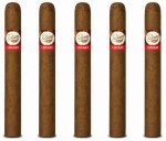 Tatiana Cherry Classic 5-Pack