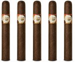 Tatiana Chocolate Classic 5-Pack