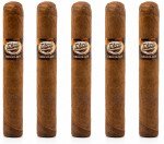 Tatiana Chocolate Robusto 5-Pack