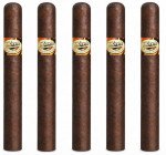 Tatiana Cinnamon Classic 5-Pack