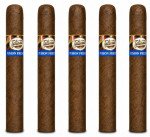 Tatiana Fusion Frenzy Classic 5-Pack