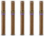 Tatiana Groovy Blue Petites 5-Pack
