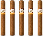Tatiana Harvest Moon Classic 5-Pack