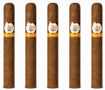 Tatiana Honey Classic 5-Pack