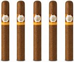 Tatiana Honey Dolce 5-Pack
