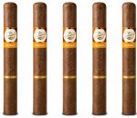 Tatiana Honey Miniatures 5-Pack
