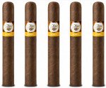 Tatiana Honey Robusto 5-Pack