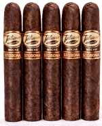 Tatiana Mocha Stobona 5-Pack