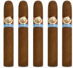 Tatiana Rum Robusto 5-Pack
