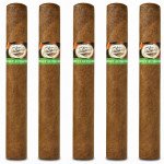 Tatiana Sweet Euphoria Classic 5-Pack