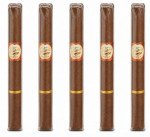 Tatiana Tropical Miniatures 5-Pack