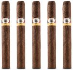 Tatiana Vanilla Classic 5-Pack