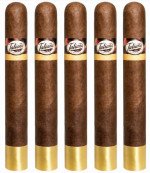 Tatiana Vanilla Toro 5-Pack