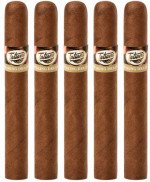 Tatiana Waking Dream Classic 5-Pack