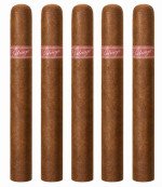 Tatuaje Noellas 5-Pack