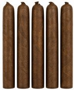Tatuaje Series P Miami P-1 Corona Gorda 5-Pack
