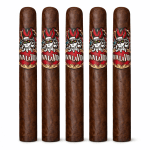 Viva La Vida Gran Toro 5-Pack