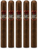 Viva La Vida Toro 5-Pack