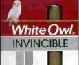 White Owl Invincible Pack