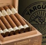 Yarguera by H. Upmann Robusto